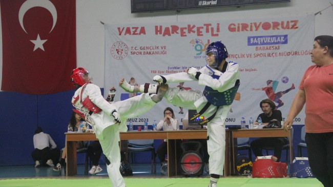 Babaeski’de 30 Ağustos Zafer Kupası Taekwondo Turnuvası düzenlendi