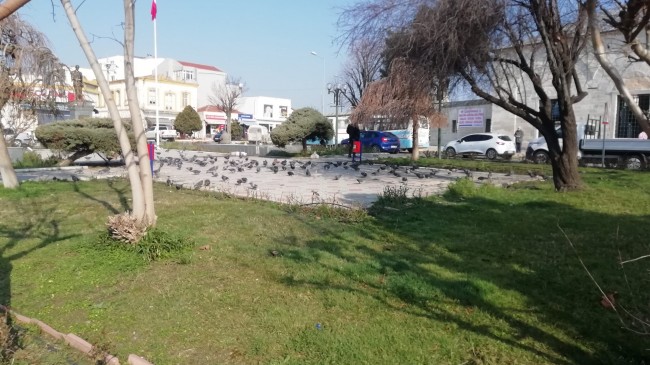 Güvercinler, Vatandaşların Sevgisiyle Besleniyor!