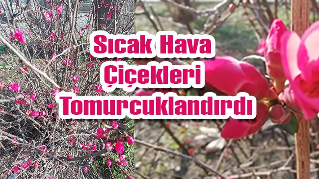 Babaeski’de İlkbahar Erken Geldi!
