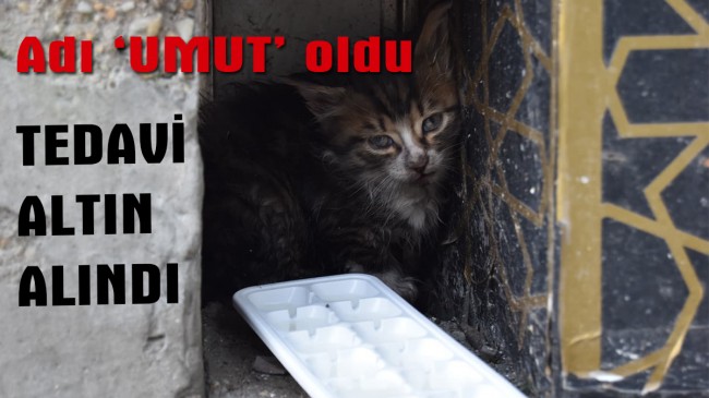 “Umut”a hayat oldular