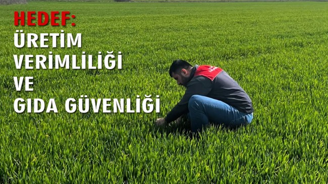 Tarımda denetimler sürüyor