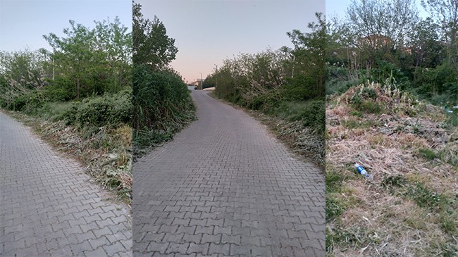 Çocuklar Yılan Korkusuyla Yoldan Geçemiyor!