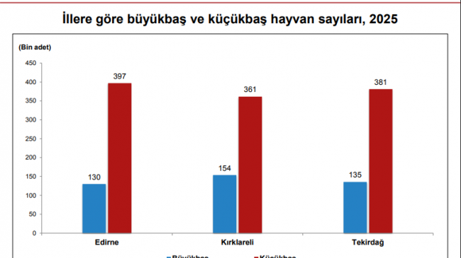 Kırklareli Büyükbaş Hayvan Varlığında Bölgede Zirvede