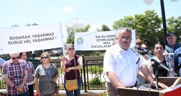 STK’lar balık ölümlerine tepki gösterdi: “Doğayı katledenleri kınıyoruz”