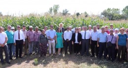 TRAKYA’YA MISIRIN AGA’SI GELİYOR