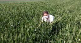 Süne mücadelesinde genel kontroller yapıldı