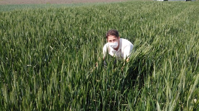 Süne mücadelesinde genel kontroller yapıldı