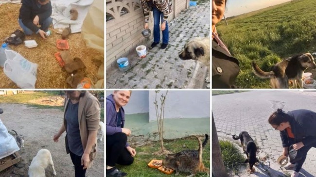 AK Partili kadınların hayvan sevgisi örnek oluyor