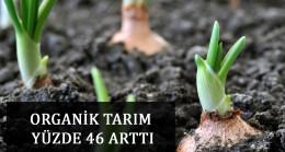 ORGANİK TARIM YÜZDE 46 ARTTI