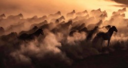 Babaeski’ye 6 Altın Madalya