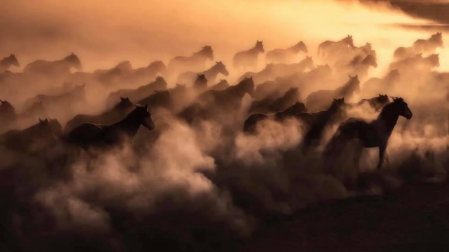 Babaeski’ye 6 Altın Madalya