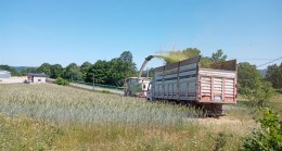 Saha çalışmaları devam ediyor