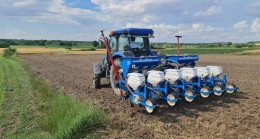 Yerli tohumlar toprakla buluştu