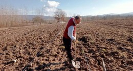 Fidanlar toprakla buluşuyor