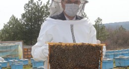 Arıcılar önceden uyarılmalı!