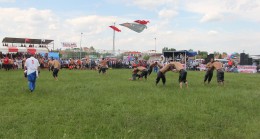 Büyükmandıra Belediye Başkanlığı 98.Yıl Geleneksel Kavasoğlu ve Şamdancıbaşı İbrahim Yağlı Pehlivan Güreşleri ve At Yarışlarına tüm halk davetli