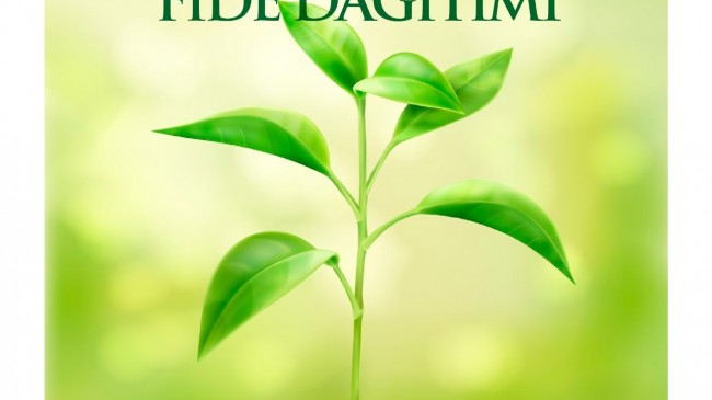 Yerel tohum fide dağıtımı gerçekleştirilecek