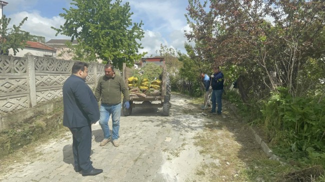 Demirköy köşe bucak temizleniyor