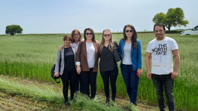 Gübre ve ilaç kullanılmadan güzel sonuçlar elde edildi