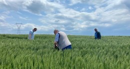 Lüleburgaz köylerinde yumurta survey çalışmaları devam ediyor