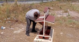 Bayramın üçüncü gününde sokak hayvanları unutulmadı