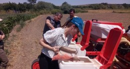 Pehlivanköy’de yerli ve milli tohumlar toprakla buluşmaya devam ediyor