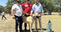 Kavaklı Korusu Anadolu Çoban Köpekleri Yarışmasına ev sahipliği yaptı