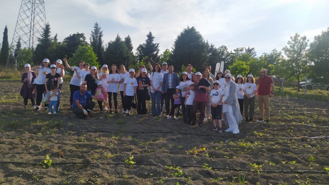 Fideler toprakla buluştu