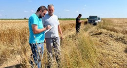 Hasat kontrol çalışmaları devam ediyor