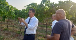 Müdür Aksoy Yenimahalle köyünde Üretici Recep Eren’i ziyaret etti