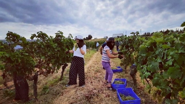 ‘’Asmaya verdikleri önemin karşılığını aldıkları bu güzel günde emekleri için kutluyorum’’