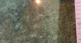 ‘’Bildirime kadar şebeke suları kaynatılarak içilmeli’’