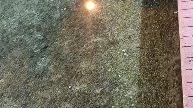 ‘’Bildirime kadar şebeke suları kaynatılarak içilmeli’’