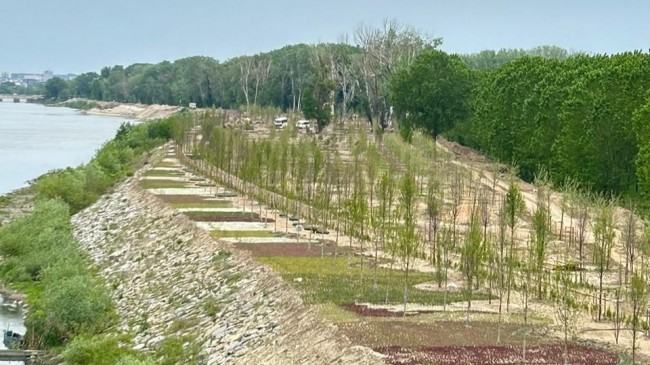 Vali Sezer çalışmalar hakkında bilgi aldı