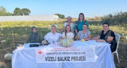 BALKABAĞI HASATLARI DEVAM EDİYOR