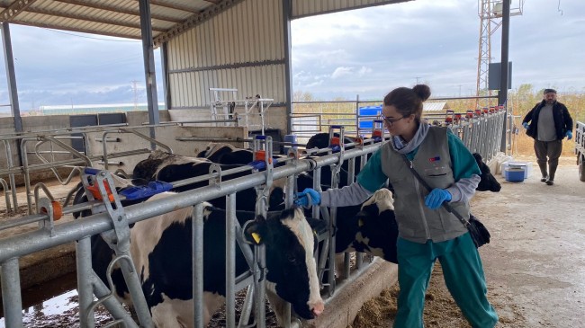 İşlemler titizlikle devam ediyor