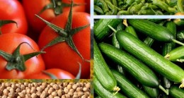 Müdürlükten Yeni Tarım Projeleri Başvuruları Hakkında Bilgilendirme