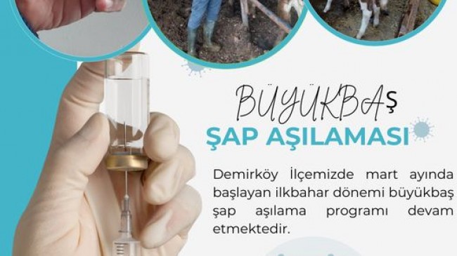 Demirköy İlçesinde Büyükbaş Şap Aşılama Programı Devam Ediyor