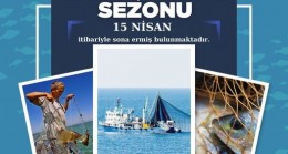 2023 Balıkçılık Av Sezonu 15 Nisan İtibariyle Son Buldu