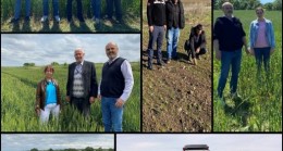 Yerli ve Milli Tohumların Kullanımı Artıyor