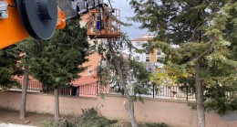 Lüleburgaz Belediyesi’nden Kent Genelinde Budama ve Ot Temizliği Çalışmaları