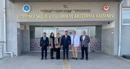 Örnek İş Birliği