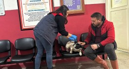 BABAESKİ’DE MİKROÇİP DÖNEMİ BAŞLADI