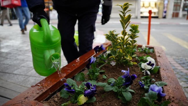 Babaeski Belediyesi’nden Çevreye Estetik Dokunuş