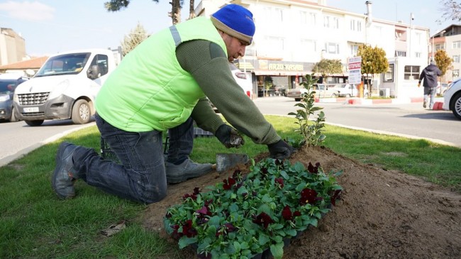 Babaeski Belediyesi’nden Renkli Dokunuş: Parklar ve Caddeler Çiçek Açıyor