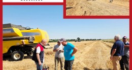 Babaeski’de Hasat Dönemi