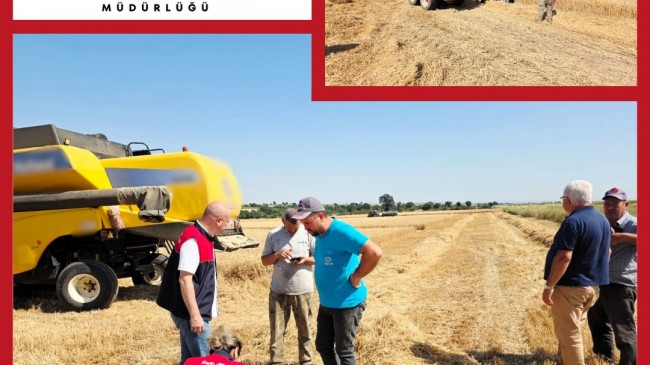 Babaeski’de Hasat Dönemi