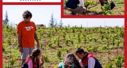 Lüleburgaz Eskibedir Köyü’nde Zararlı Etmenlere Karşı Bağlardan Numune Alındı