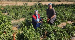 BABAESKİ’DE TARIMSAL ÜRETİME YERİNDE DESTEK