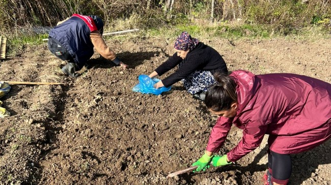VİZE DÜZOVA KÖYÜNDE SALEP EKİM ÇALIŞMALARI BAŞLADI